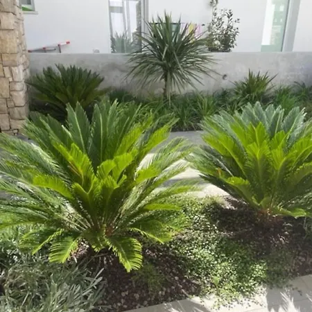Casa Gardalido Padenghe sul Garda